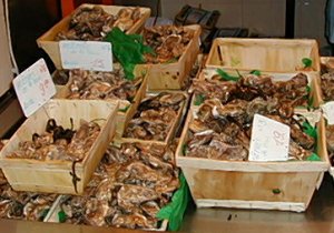 Les Hu�tres vendues � la douzaine ou en petit panier (4 douzaines) sont disponibles en plusieurs calibres