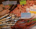 Grande vari�t� de poissons provenant des cri�s les plus proches