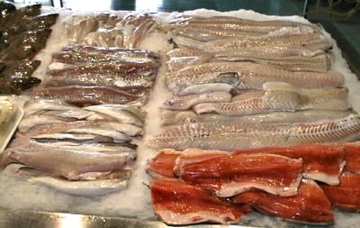 Des filets de toutes esp�ces